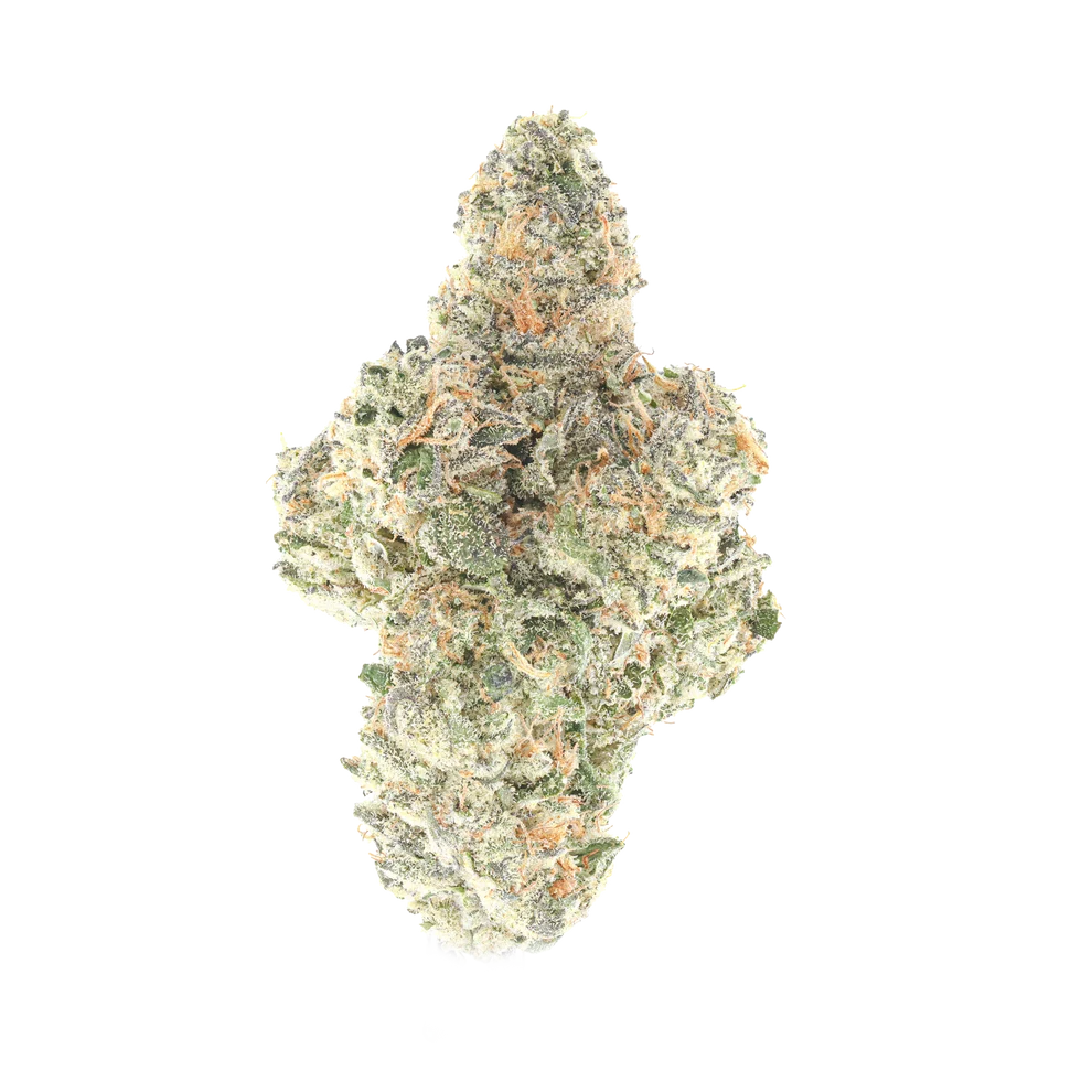 : A high-resolution macro shot of a dense Cut Right Cannabis exotic bud against a pure white background, showing heavy trichome coverage and fiery orange pistils.