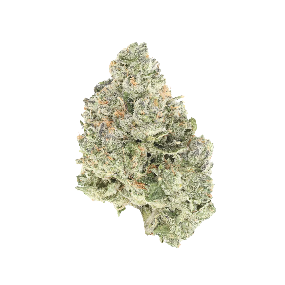 Cut Right Cannabis Bird 33 strain exotic craft flower showing thick trichome coverage, deep purple accents, and bright orange pistils on a clean white background.