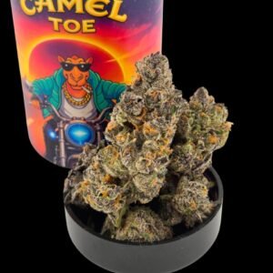 buy camel toe thca flower online