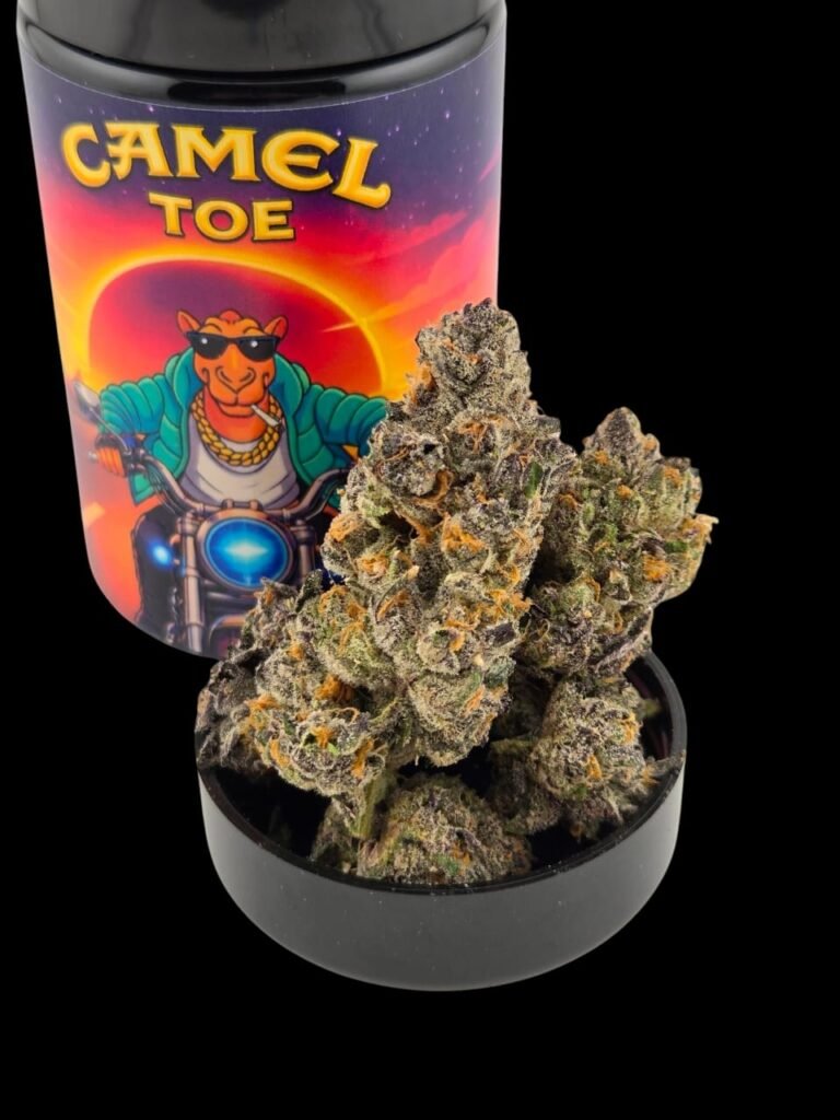 buy camel toe thca flower online