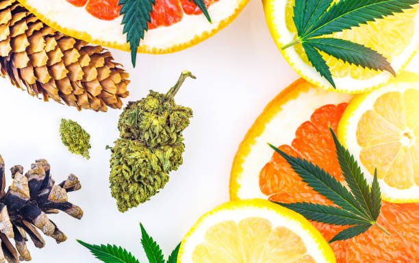 The Terpene Science & Curing Behind Cut Right Cannabis Drops