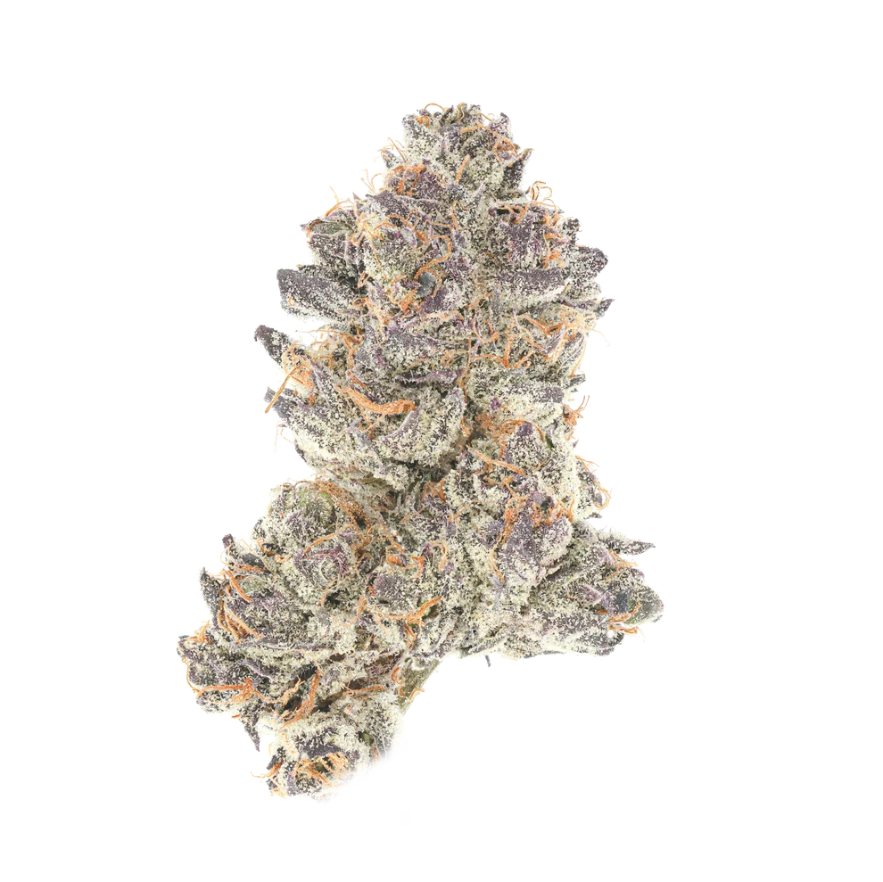 camel toe thca flower