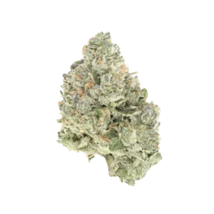 Waterboyz710 Collaboration